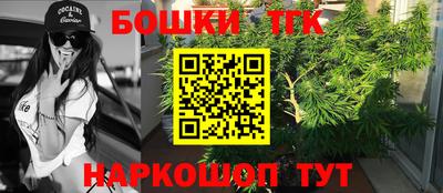 крисы Кулебаки