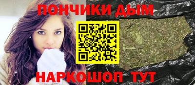 крисы Кулебаки
